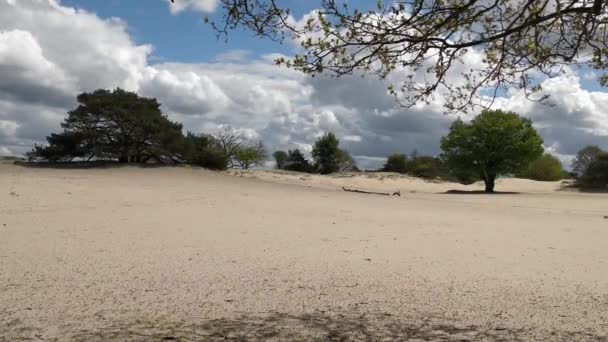 Erosion Due Overgrazing Desertification Result — Stock Video