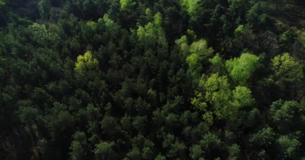 Letecký Pohled Zalesněné Sídliště — Stock video
