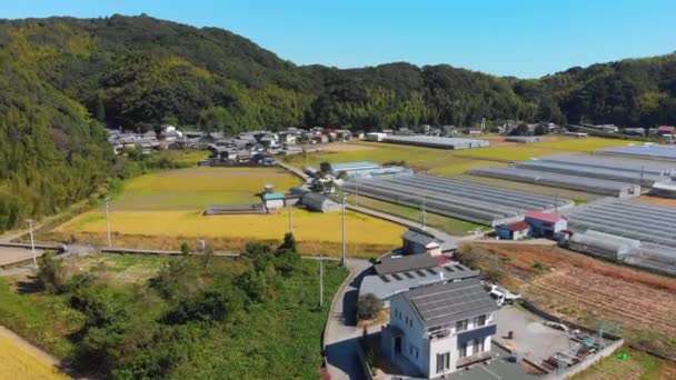 Sobrevoando Terras Agrícolas Uma Pequena Aldeia Com Estufas Campo Japonês — Vídeo de Stock