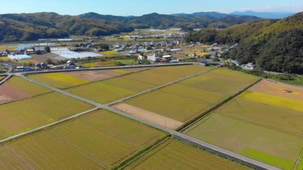 Sobrevoando Terras Agrícolas Uma Pequena Aldeia Com Estufas Campo Japonês — Vídeo de Stock