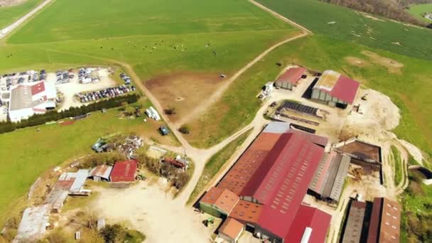 Drone Shot Beautiful Farm — стокове відео