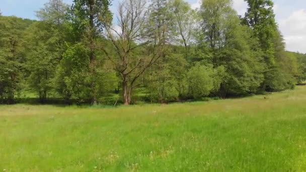 緑豊かな牧草地と小さな川があり — ストック動画