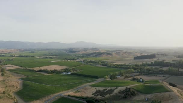Aerial Shot Looking Vineyards Heart Marlborough Covered Sauvignon Blanc — Stock Video