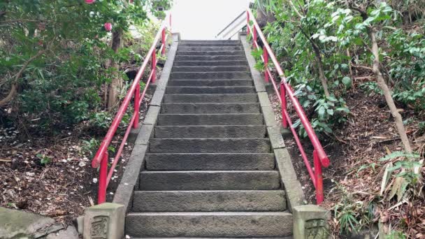 Japonské Kamenné Schodiště Červenými Zábradlím Parku Inokashira Kamera Zaměřena Úhel — Stock video