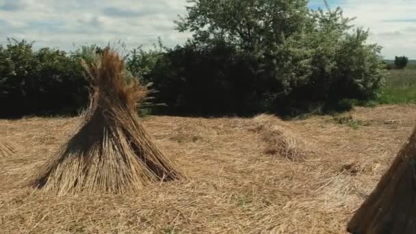 Panning Lage Hoogte Met Meer Close Areial Beeldmateriaal Panning Beweging — Stockvideo