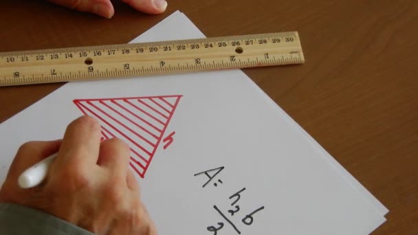 How Determine Area Triangle Using Math — Stock Video