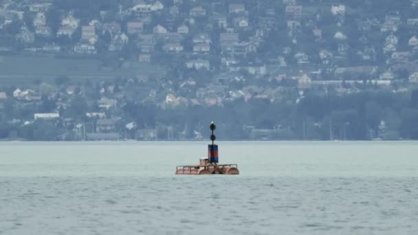 Osamělá Bóje Plovoucí Hladině Jezera Balaton — Stock video