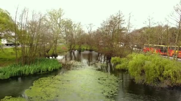 Aerial Shot Beautiful Pond London — Stock video