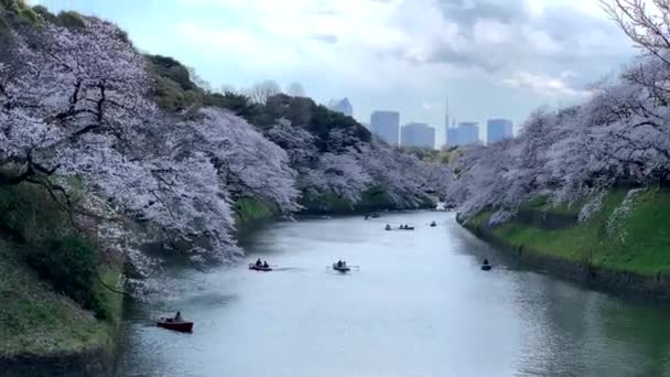 Люди Люблять Плавати Човнах Імператорського Палацового Рову Парку Чідорафуті Камера — стокове відео