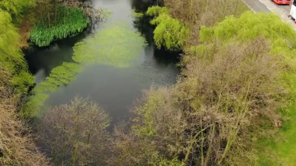 Beautiful Top View Pond London — Stock video