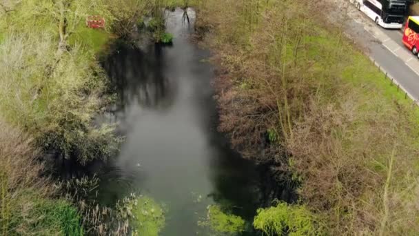 Beautiful Top View Pond London — Stock video