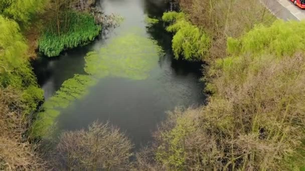 Beautiful Aerial View Pond London — Stock video