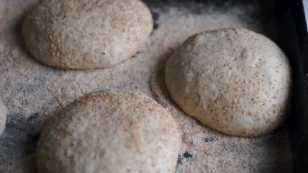 Slow Pan Sourdough Bread Dough Resting Ready Formed Home Made — Videoclip de stoc
