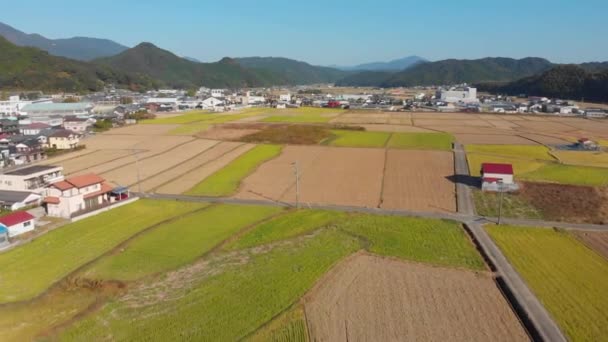 Flying Small Town Its Fields Japan — Vídeo de Stock