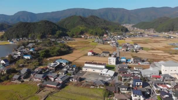 Flying Small Town Its Fields Japan — Stockvideo