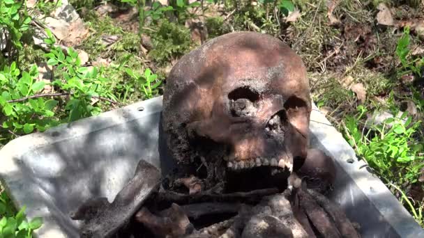 Exhumation Act Digging Especially Corpse Most Often Done Relocate Body — Stok video