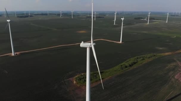 Drone Orbiting Windmill Turbine Green Field Beans Midwest — Wideo stockowe