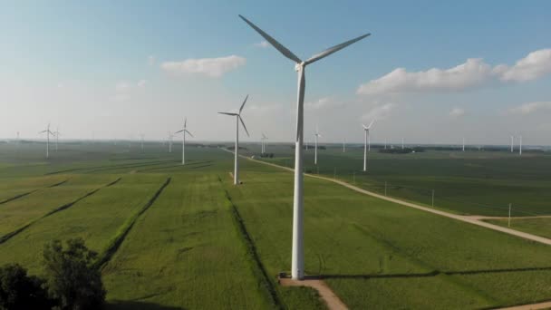 Aerial Video Flying Wind Generator Cornfield Sunny Day Iowa — 비디오