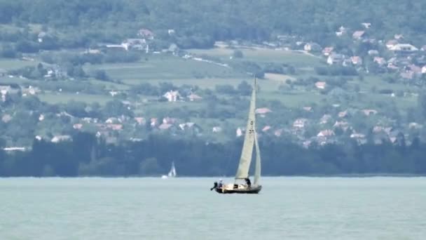 Little Sailboat Moving Part Balaton Lake — Stock Video