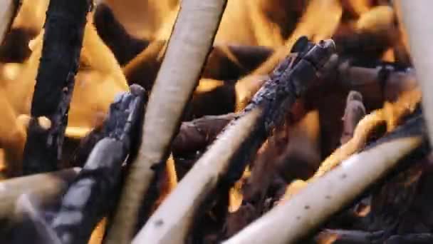 Close View Burned Moment Middle Part Burning Wood Pile Free — Vídeo de Stock