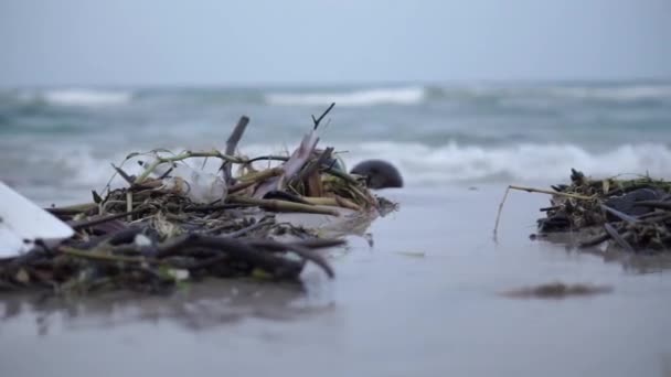 Reveal White Foam Lunch Box Littering Polluting Beach Tropical Island — Vídeo de Stock