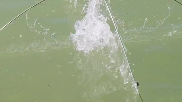 Man Dipping Lift Net Water — Stockvideo