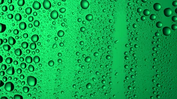 Texture Water Drops Green Glass Background — стоковое видео