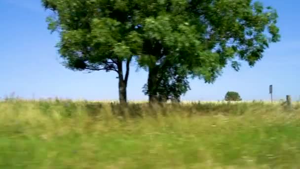 Beautiful Green English British Countryside Passing Out Side Car Driving — Wideo stockowe