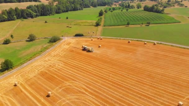 Tractor Harvesting Golden Ripe Barley Fields — Wideo stockowe