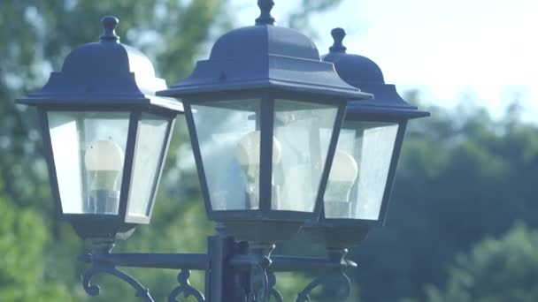 Starožitná Pouliční Světla Parku Dynamický Ruční Snímek Zleva Doprava Naopak — Stock video