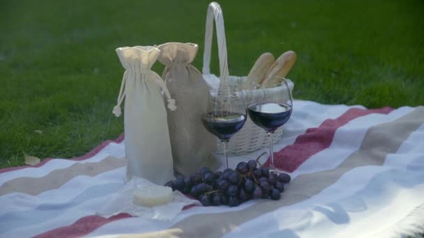 Girl Preparing Picnic Girl Spreads Litter Blanket Puts Basket Groceries — Stockvideo