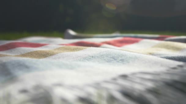 Girl Preparing Picnic Girl Spreads Litter Blanket Puts Basket Groceries — Stockvideo