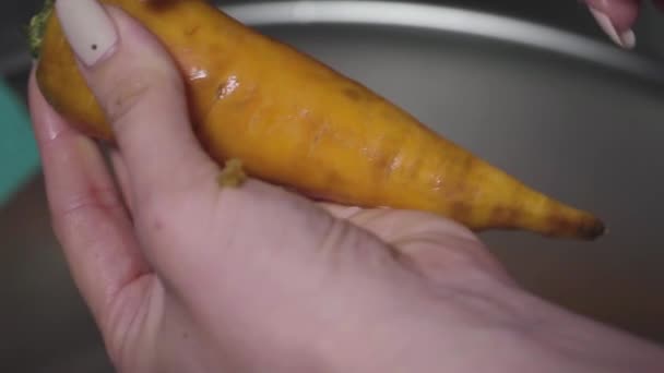 Women Hands Wash Peel Cut Vegetables Vegetable Stew — 비디오