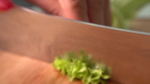 Knife Cuts Vegetables Salad Slow Motion 100 Fps Tomato Cucumber — стоковое видео