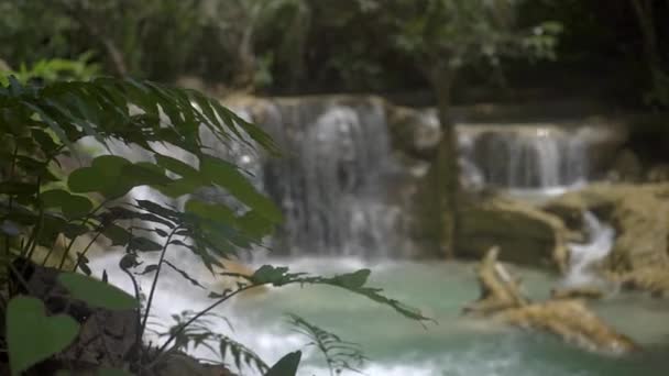 Camera Panning Bush Small Gentle Waterfall Laos Water Calmly Flowing — Vídeo de stock