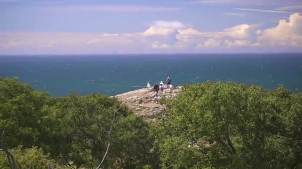 Cliff Sticks Woods People Overlooking Blue Ocean Sailboat Horizon — Stock Video
