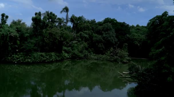 Looking Park Bang Kachao Bang Kachao Artificial Island Formed Bend — стоковое видео