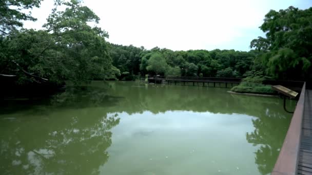 Looking Bridge Bang Kachao Bang Kachao Artificial Island Formed Bend — Stockvideo