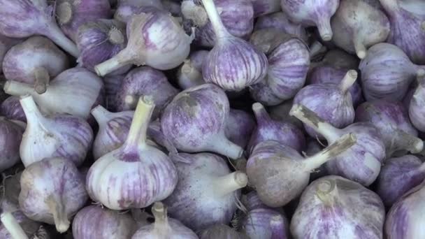 Knoflook Essentieel Het Midden Oosten Arabisch Koken Met Zijn Aanwezigheid — Stockvideo