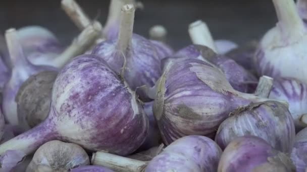 Knoflook Essentieel Het Midden Oosten Arabisch Koken Met Zijn Aanwezigheid — Stockvideo