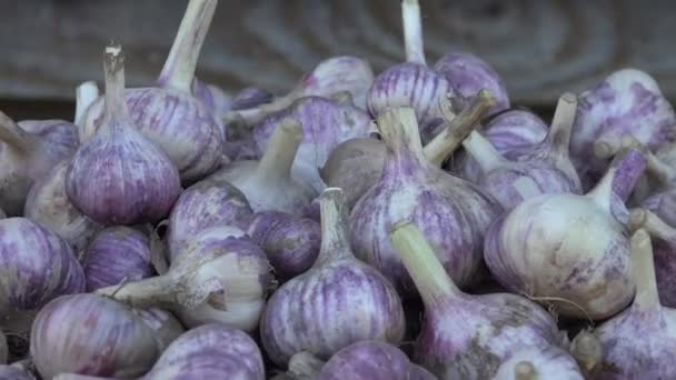 Knoblauch Ist Der Orientalischen Und Arabischen Küche Unverzichtbar Vielen Lebensmitteln — Stockvideo