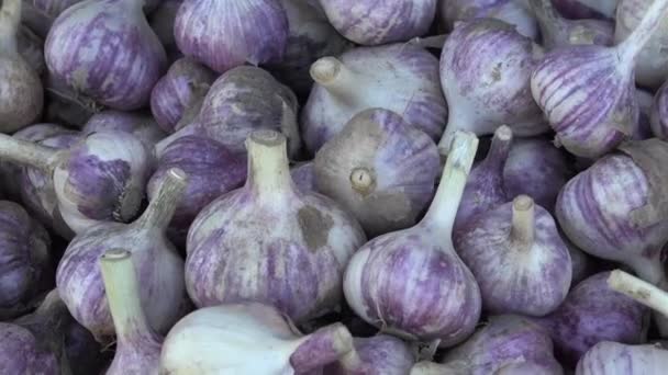 Alho Essencial Culinária Oriente Médio Árabe Com Sua Presença Muitos — Vídeo de Stock