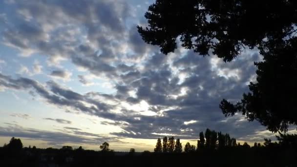 来自杰斐逊公园的八月西雅图夕阳西下 — 图库视频影像
