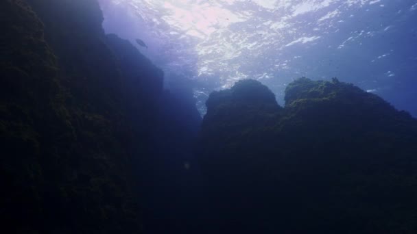 Underwater Shot Underwater Cliff Mediterranean Sea Little Fishes Passing Waves — Video