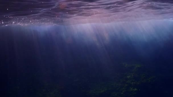 Underwater Surface Shot Mediterranean Sea Beautiful Lightrays Piercing Water Shot — Vídeo de stock