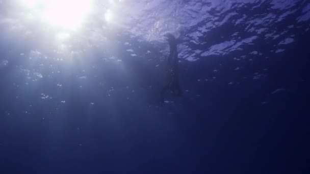 Undervattensskott Fridykare Som Går Djupt Ner Medelhavet Skjuten Slow Motion — Stockvideo