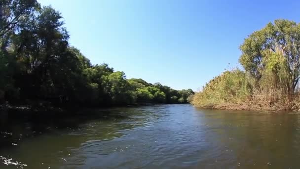 Chobe Rapids Viewed Aluminium River Boat Summer Water Low — Vídeo de Stock