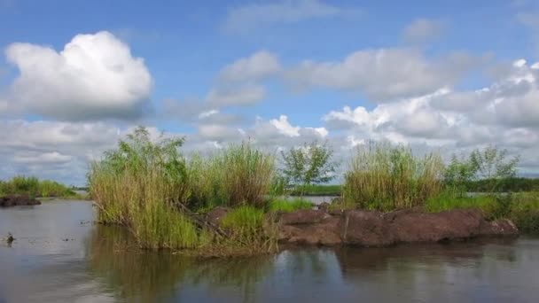 Chobe River View Small Dedicated Photography Boat Covering Kasane Serondela — Videoclip de stoc