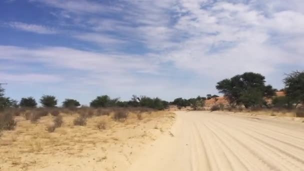 Het Uitzicht Kalahari Onverharde Wegen Door Een Safari Voertuig Het — Stockvideo