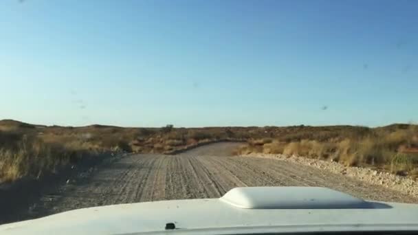 Der Blick Auf Die Kalahari Feldwege Durch Ein Safarifahrzeug Kgalagadi — Stockvideo